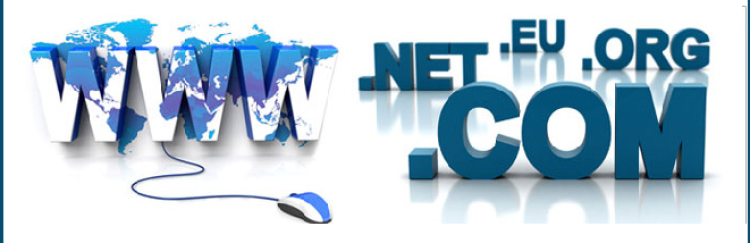Nuevos dominios web