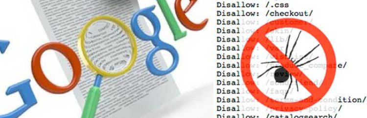 ¿Cómo rastrea Google nuestra web?