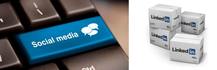 La-importancia-del-curriculum-social_portada