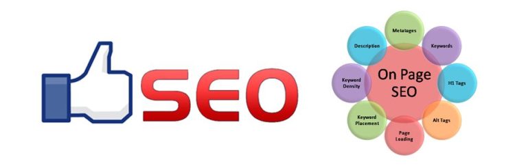 Seo On Page para novatos